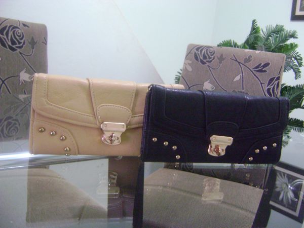 carteira feminina 32